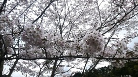 2016-04-07(2) 2016-04-072